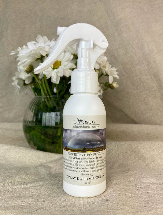 Spray do pomieszczeń "Powietrze po deszczu" 100 ml