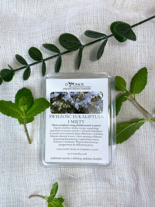 Wosk zapachowy (Wax melts) do kominków zapachowych i do aromatyzowania szaf "Świeżość eukaliptusa i mięty"